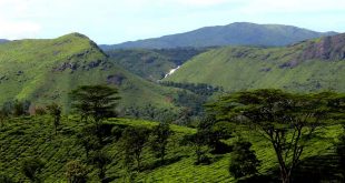 Best Places for destination wedding in Kerala