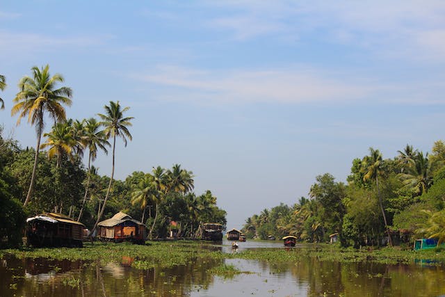 Backwaters in Alleppey