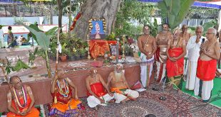 Temple marriage in Mysore