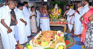 Laghu rudrabhisheka puja in mandsaur